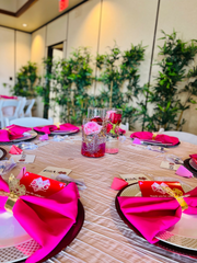 20 inch Polyester Cloth Napkins Fuchsia (Pack of 10)