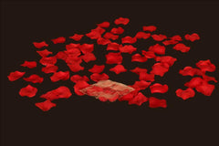 100 pcs Silk Rose Flower Petals Red
