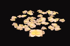 100 pcs Silk Rose Flower Petals White
