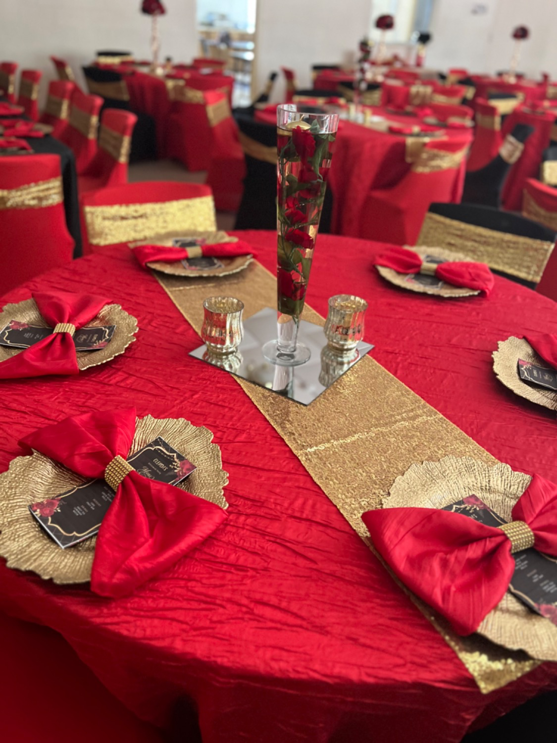 20 inch Polyester Cloth Napkins Red (Pack of 10)