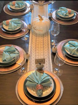 20 inch Polyester Cloth Napkins Tiffany (Pack of 10)