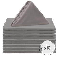 20 inch L'amour Napkins Dark Silver / Platinum (Pack of 10)
