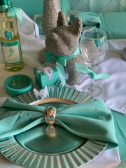 20 inch Polyester Cloth Napkins Tiffany (Pack of 10)